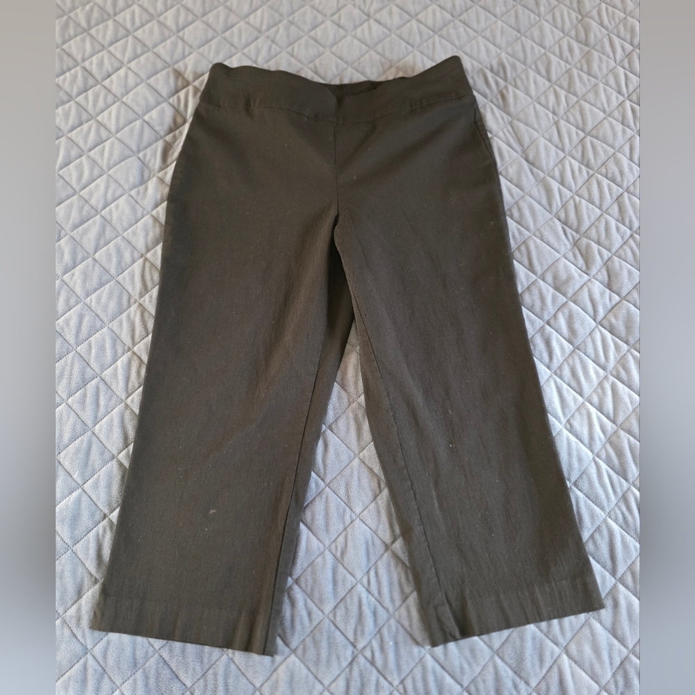 Womens Dana Buchman Stylish Black Stretch Capris Sz Med